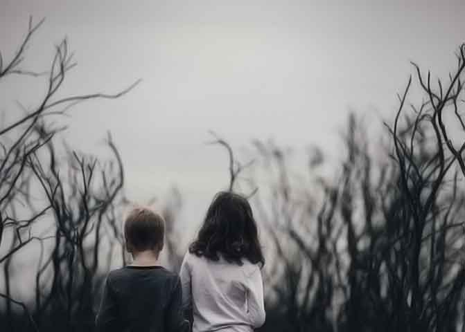 强劲且性能优异的器测压文章